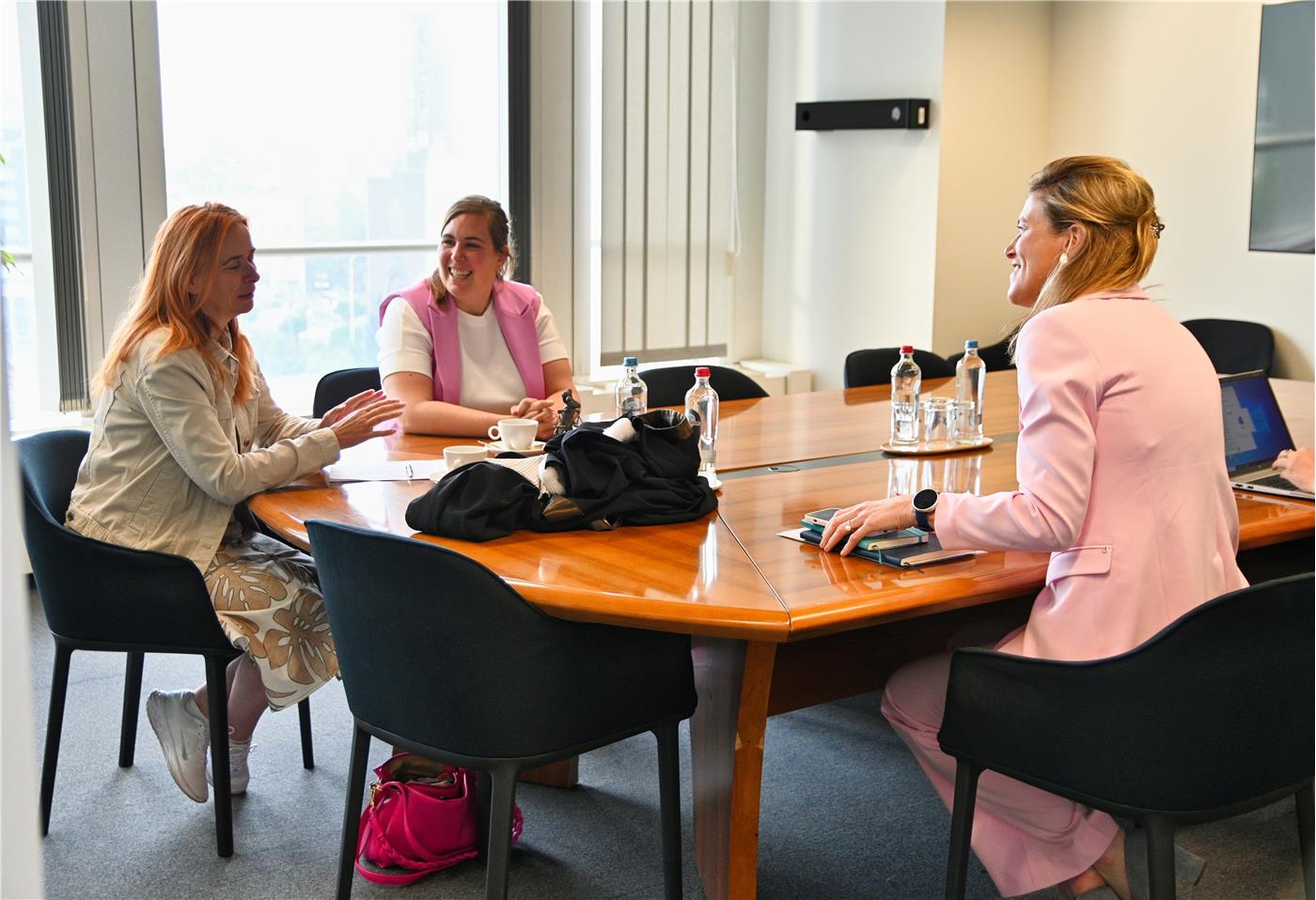 Interview orde van advocaten (Evelien Meyvis) van minister van justitie Annelies Verlinden